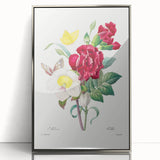 Neoclassical Art Print of Hellebore and Oeillet by Redouté - Floral Decor