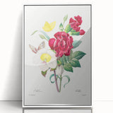 Neoclassical Art Print of Hellebore and Oeillet by Redouté - Floral Decor