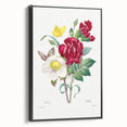 Neoclassical Art Print of Hellebore and Oeillet by Redouté - Floral Decor