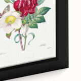 Neoclassical Art Print of Hellebore and Oeillet by Redouté - Floral Decor