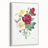 Neoclassical Art Print of Hellebore and Oeillet by Redouté - Floral Decor