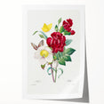 Neoclassical Art Print of Hellebore and Oeillet by Redouté - Floral Decor