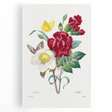 Neoclassical Art Print of Hellebore and Oeillet by Redouté - Floral Decor