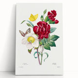 Neoclassical Art Print of Hellebore and Oeillet by Redouté - Floral Decor