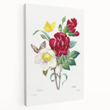 Neoclassical Art Print of Hellebore and Oeillet by Redouté - Floral Decor