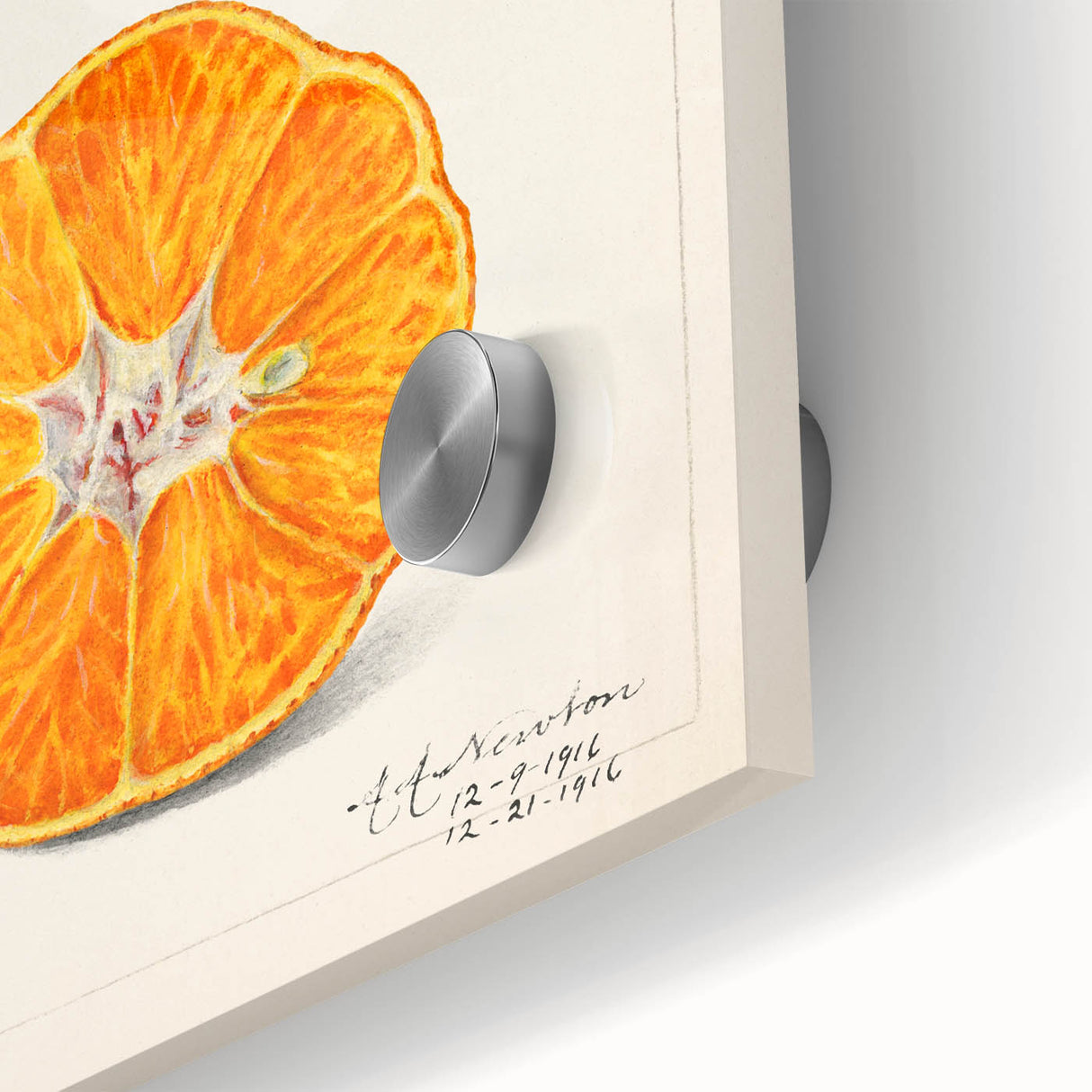 Large abstract wall art featuring assorted fruits in vibrant colors on acrylic glass, ideal for dining room decor.