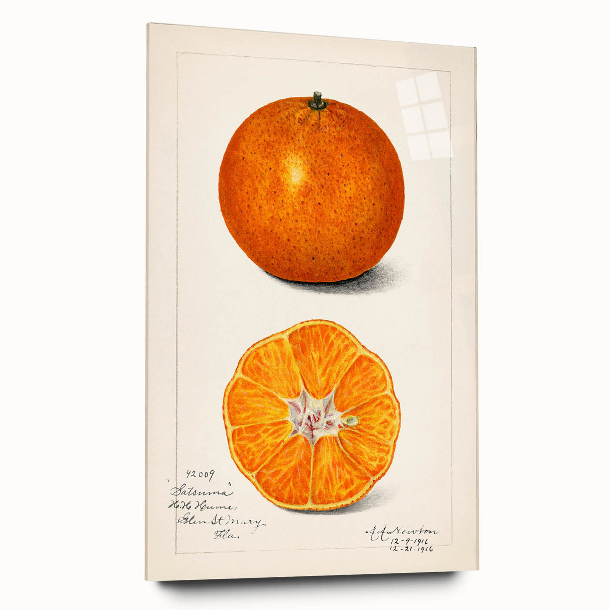 Large abstract wall art featuring assorted fruits in vibrant colors on acrylic glass, ideal for bedroom or dining room decor.