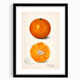 Extra large framed wall art of abstract colorful fruits in textured style, ideal for living room decor.