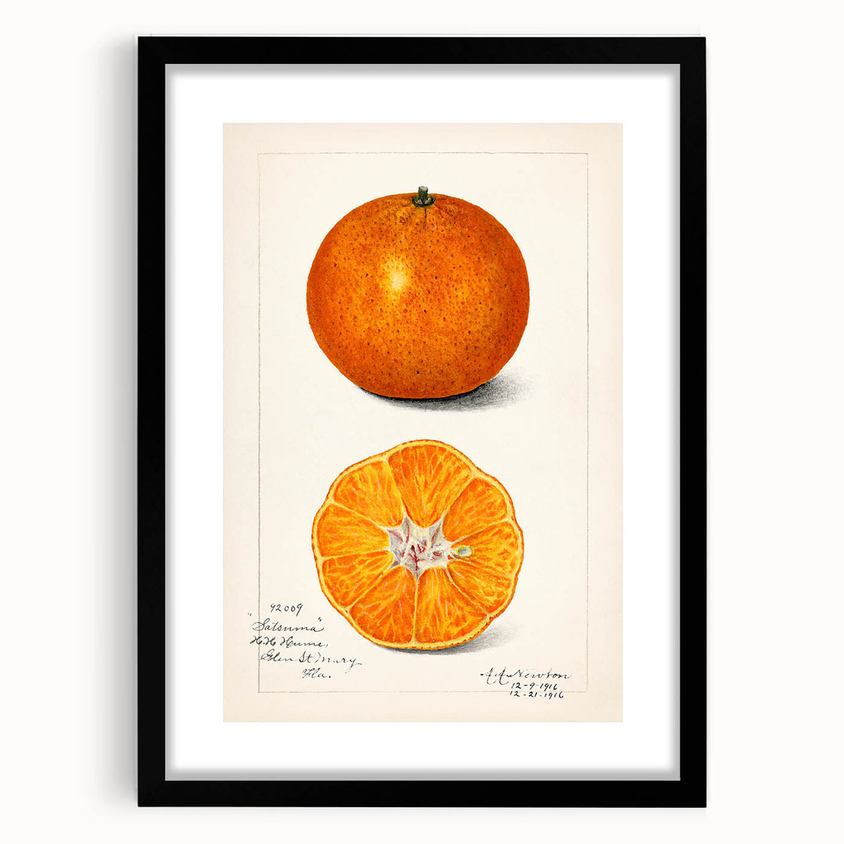Extra large framed wall art of abstract colorful fruits in textured style, ideal for living room decor.