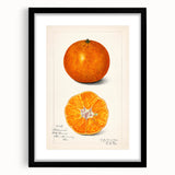 Extra large framed wall art of abstract colorful fruits in textured style, ideal for living room decor.