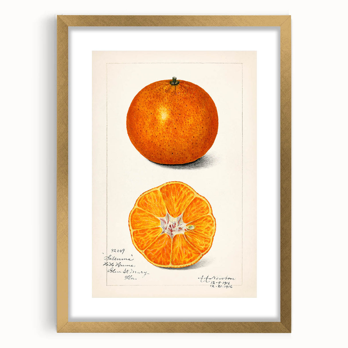 Extra large abstract art print featuring textured fruits in vibrant colors on a gold-framed canvas.