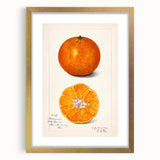 Extra large abstract art print featuring textured fruits in vibrant colors on a gold-framed canvas.