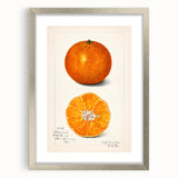 Textured abstract art print featuring assorted fruits in muted earth tones on a framed canvas, suitable for bedroom decor.
