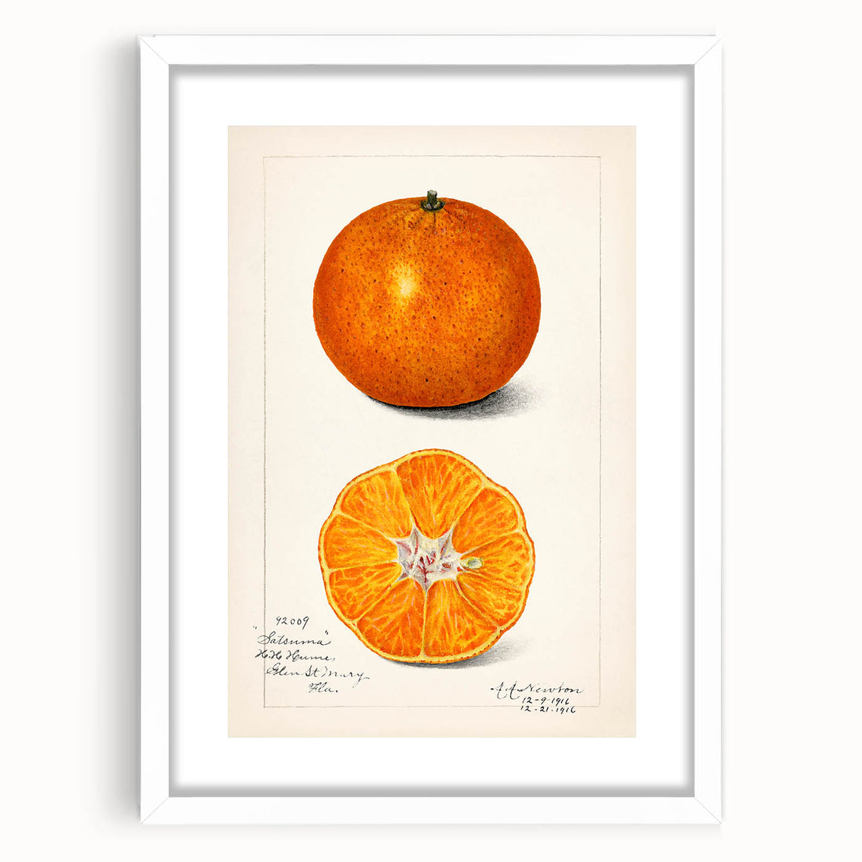Abstract art print of assorted fruits in vibrant colors on a white framed mat, suitable for dining room decor.