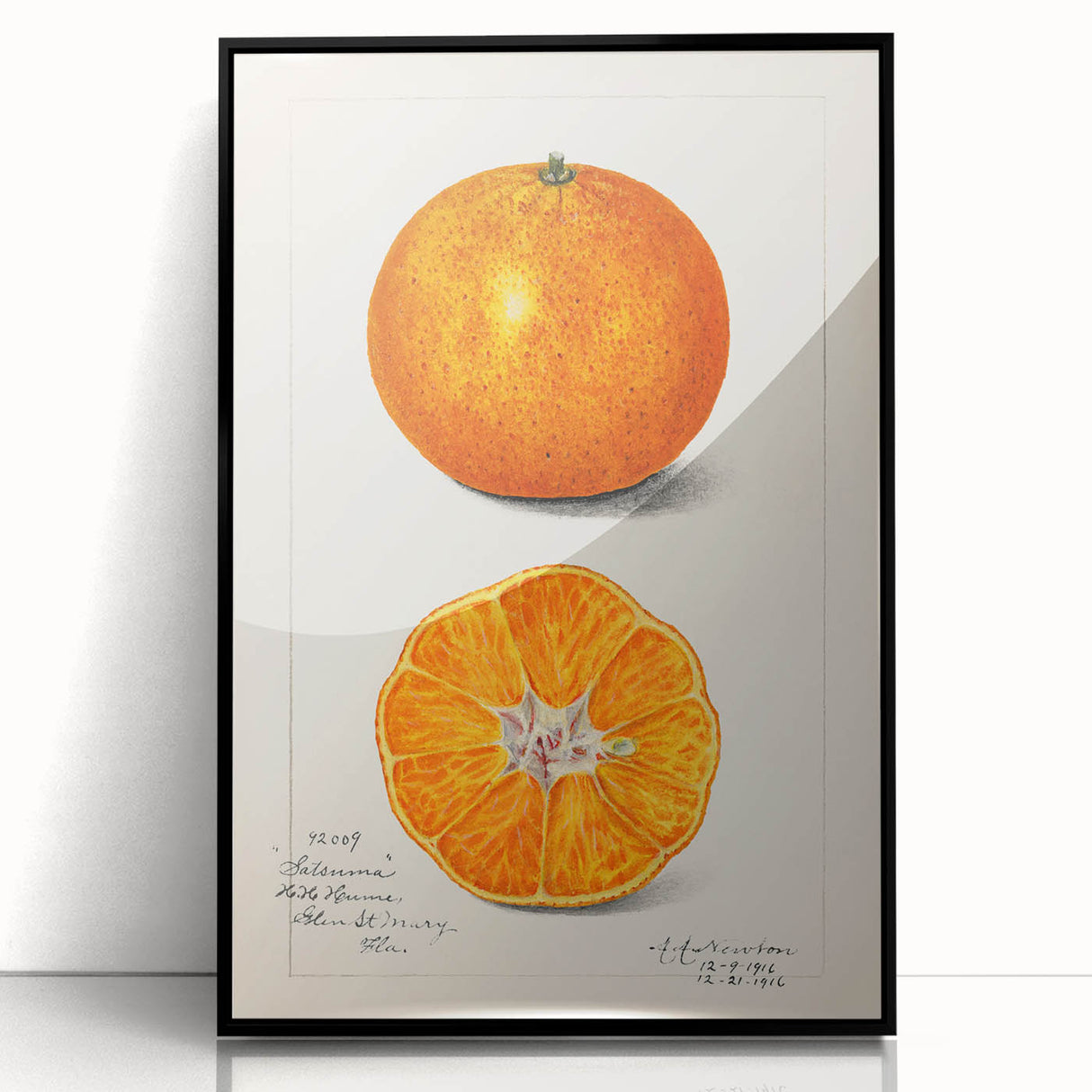 Large abstract wall art featuring assorted fruits in vibrant colors on a black acrylic framed print, ideal for kitchen decor.