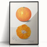 Large abstract wall art featuring assorted fruits in vibrant colors on a black acrylic framed print, ideal for kitchen decor.