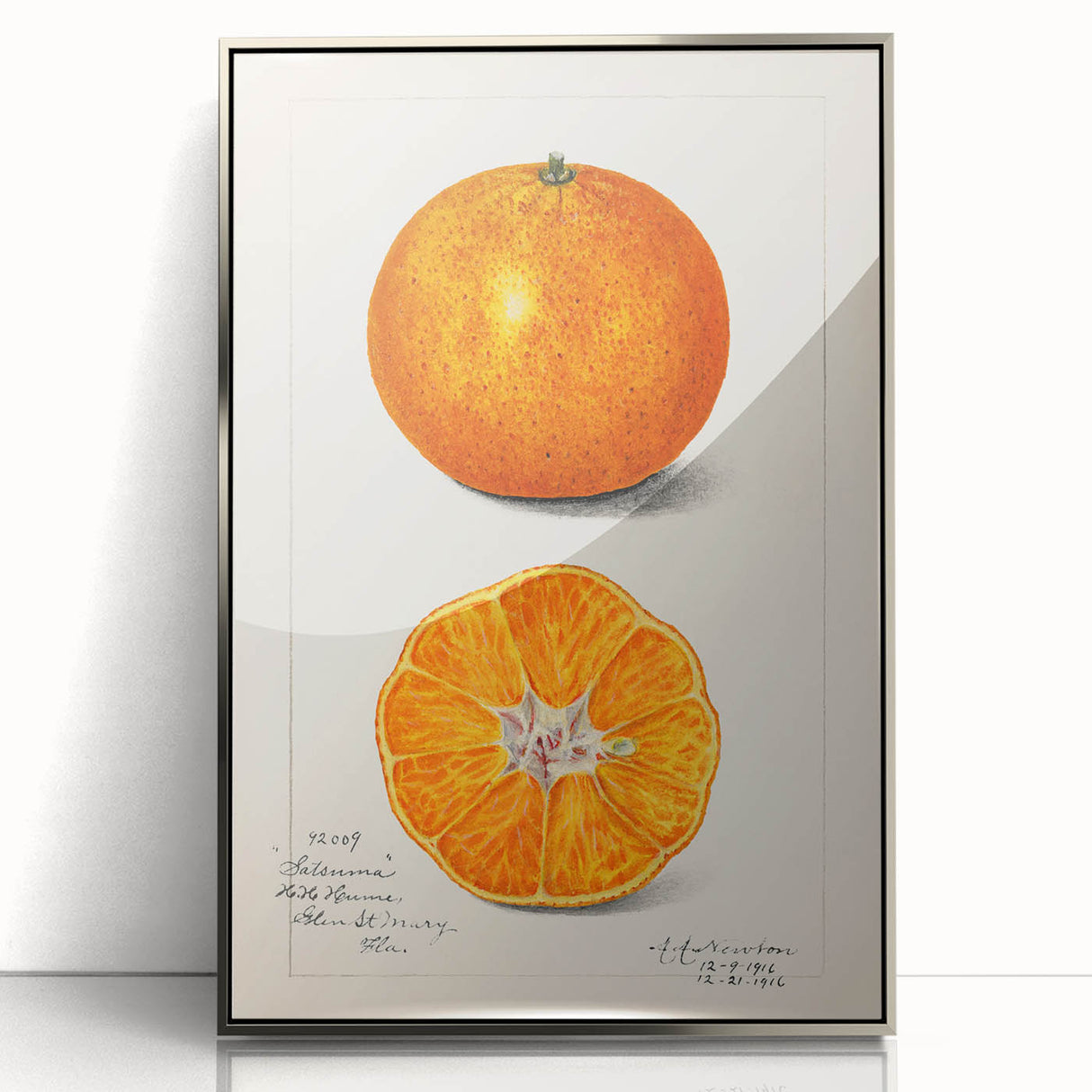 Mid-century modernist art featuring an assortment of fruits in vibrant colors on a silver-framed acrylic print.