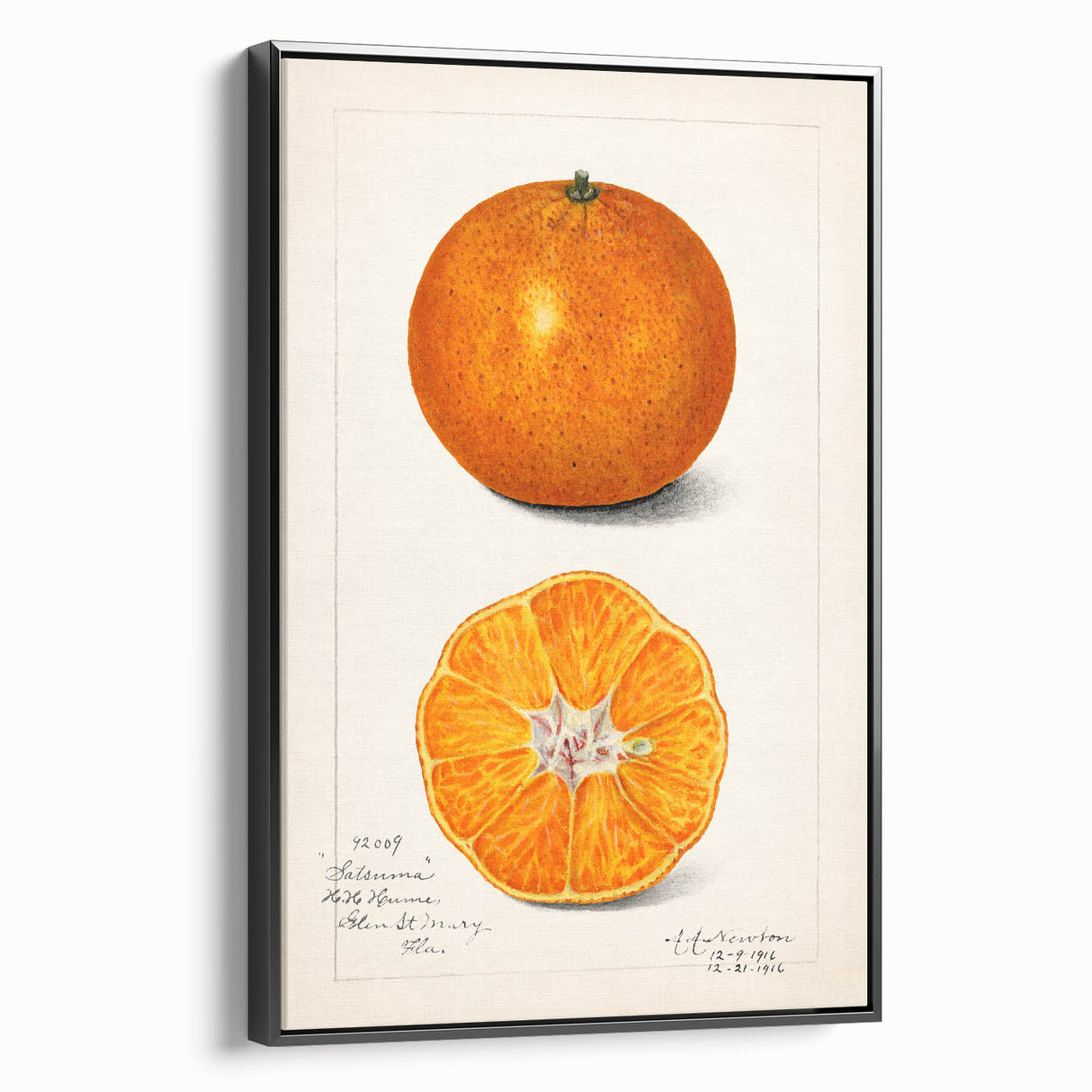 Black and white vintage poster art of assorted fruits on a framed canvas, suitable for bedroom wall decor.