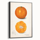 Black and white vintage poster art of assorted fruits on a framed canvas, suitable for bedroom wall decor.
