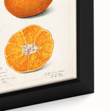 Extra large black wall art on framed canvas featuring a close-up of colorful, textured fruits, ideal for living room decor.