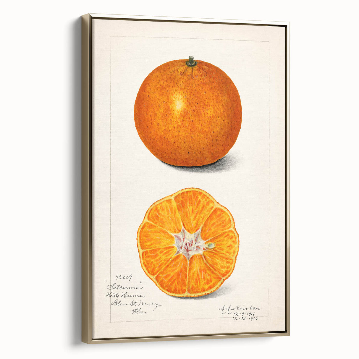 Framed canvas wall art featuring a vintage poster-style landscape with fruits in muted gold and black tones.