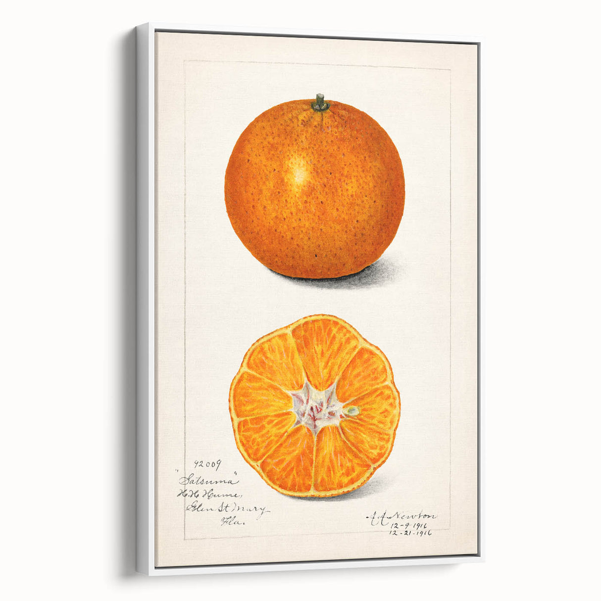Vintage poster art featuring an assortment of colorful fruits on a large framed canvas, suitable for living room decor.