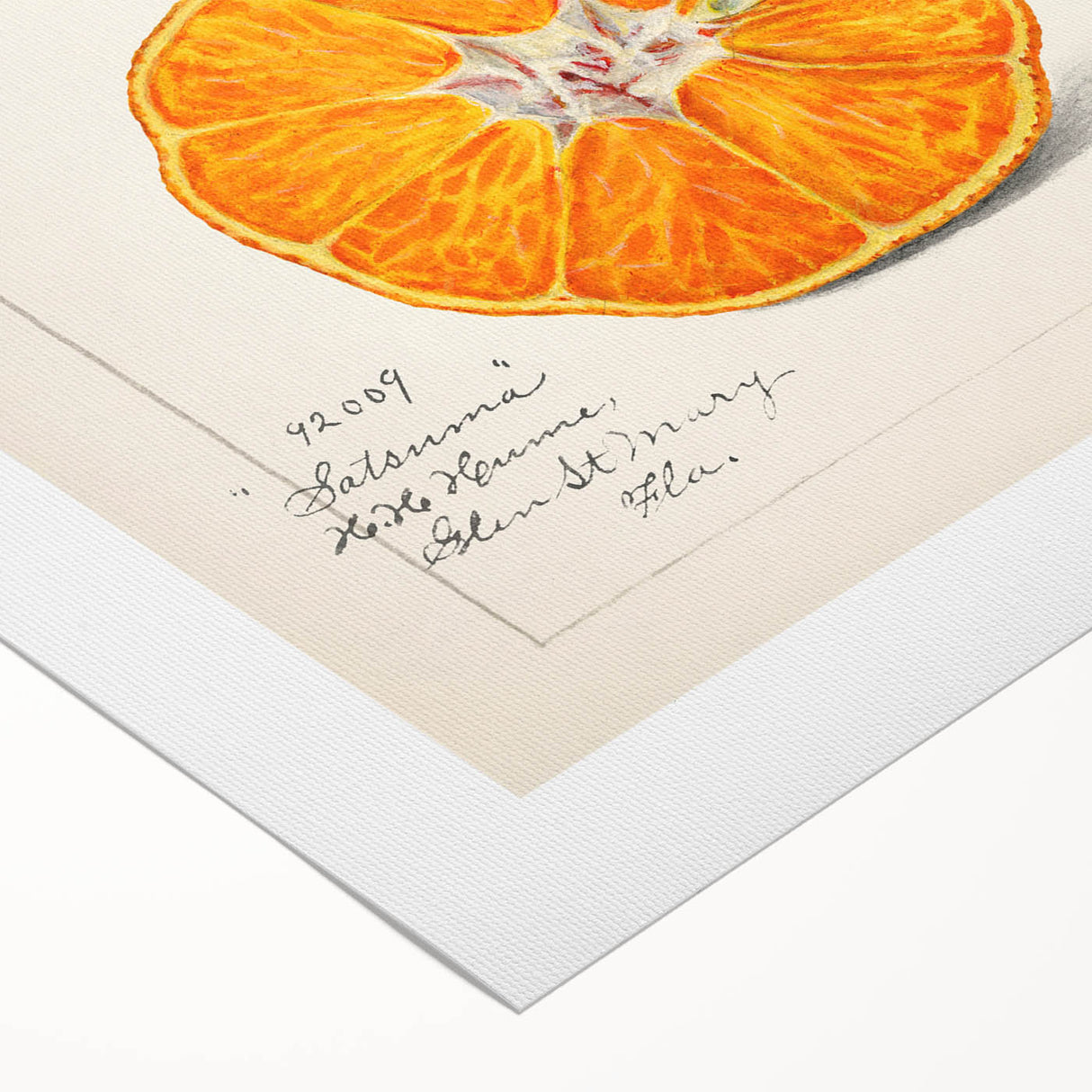 Art deco poster featuring assorted fruits in bold colors on a rolled canvas, suitable for dining room decor.