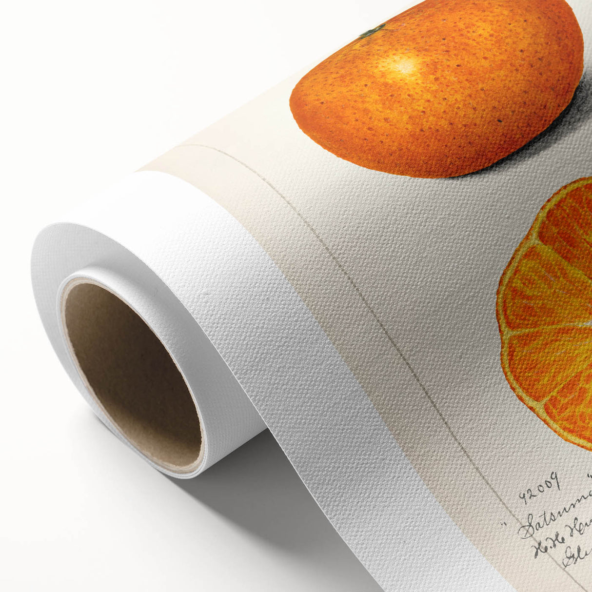 Art Deco style poster of vibrant colored fruits on rolled canvas, ideal for nursery wall art or dining room decor.