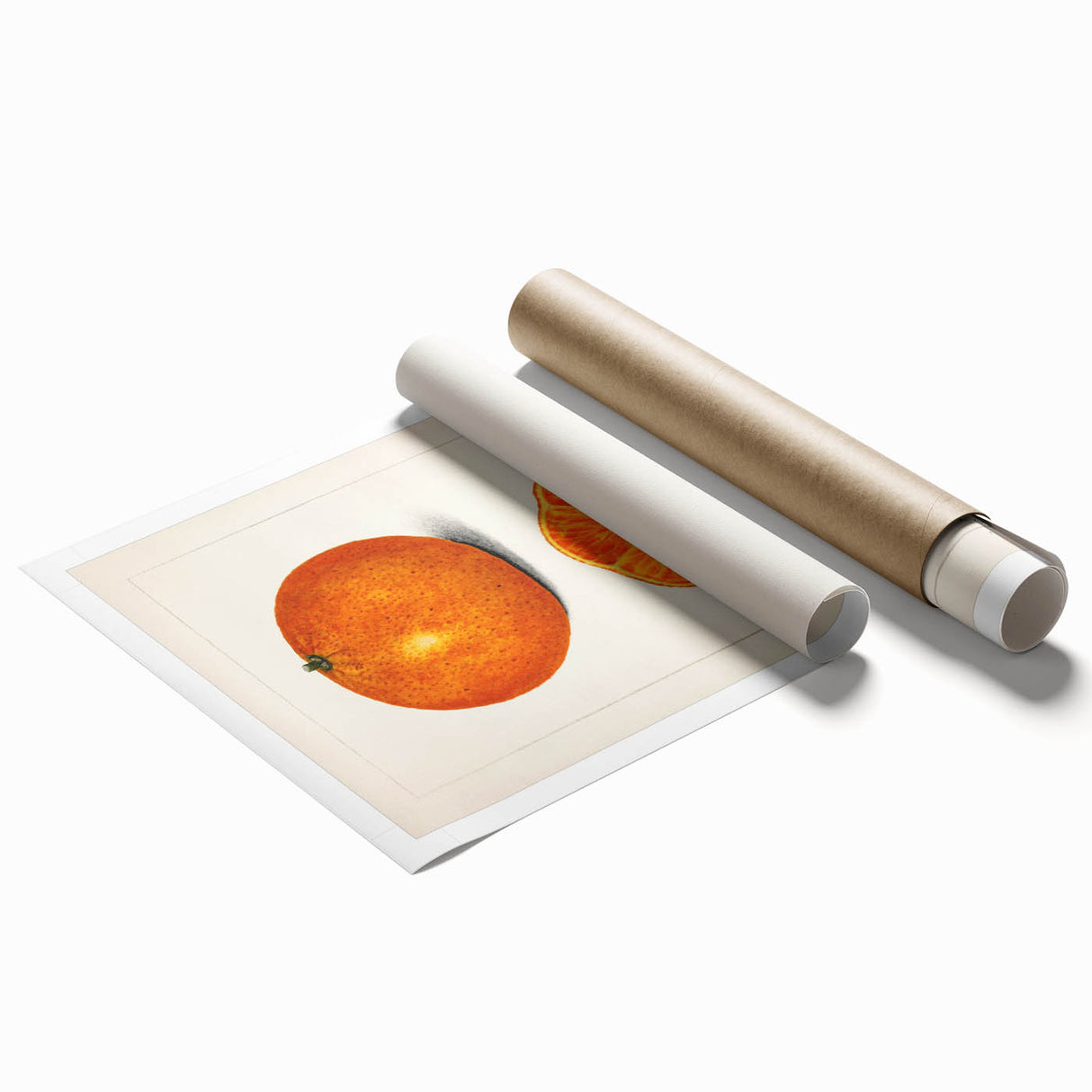 Extra large rolled print featuring a variety of colorful fruits, ideal for classy bathroom or large living room decor.