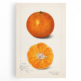 Black and white large art on stretched canvas featuring assorted fruits, ideal for kitchen wall art.