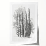 Rolled canvas print showcasing a vibrant landscape design with rich colors and intricate details, securely packaged in a durable cardboard tube for safe delivery.