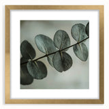 Extra large abstract art print featuring close-up textured leaves in green and gold, framed, ideal for living room decor.