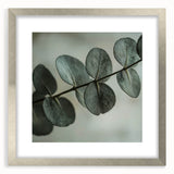 Textured art of abstract leaves in muted green and silver tones, framed with a silver mat, suitable for bedroom decor.