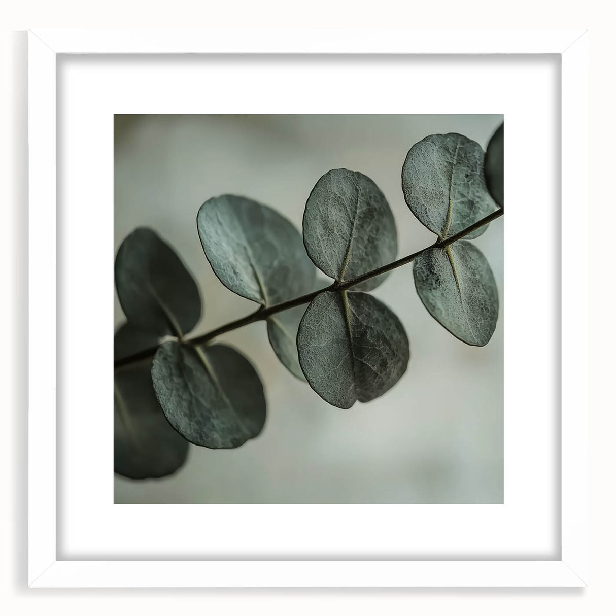 Abstract art print featuring close-up images of leaves in muted green and white tones, framed in white.