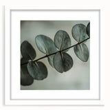 Abstract art print featuring close-up images of leaves in muted green and white tones, framed in white.
