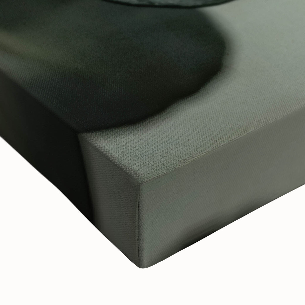 Black and white close-up of leaves on a large stretched canvas, ideal for bedroom wall art.