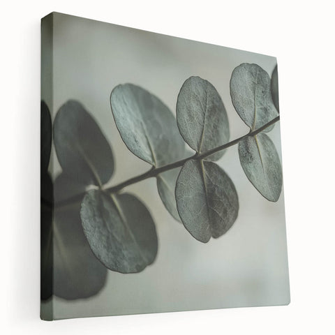 Close-up of green leaves on a large stretched canvas, ideal for kitchen wall art.
