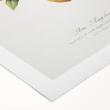 Realism Art Print - Wild European Pear by Giorgio Gallesio Canvas Art