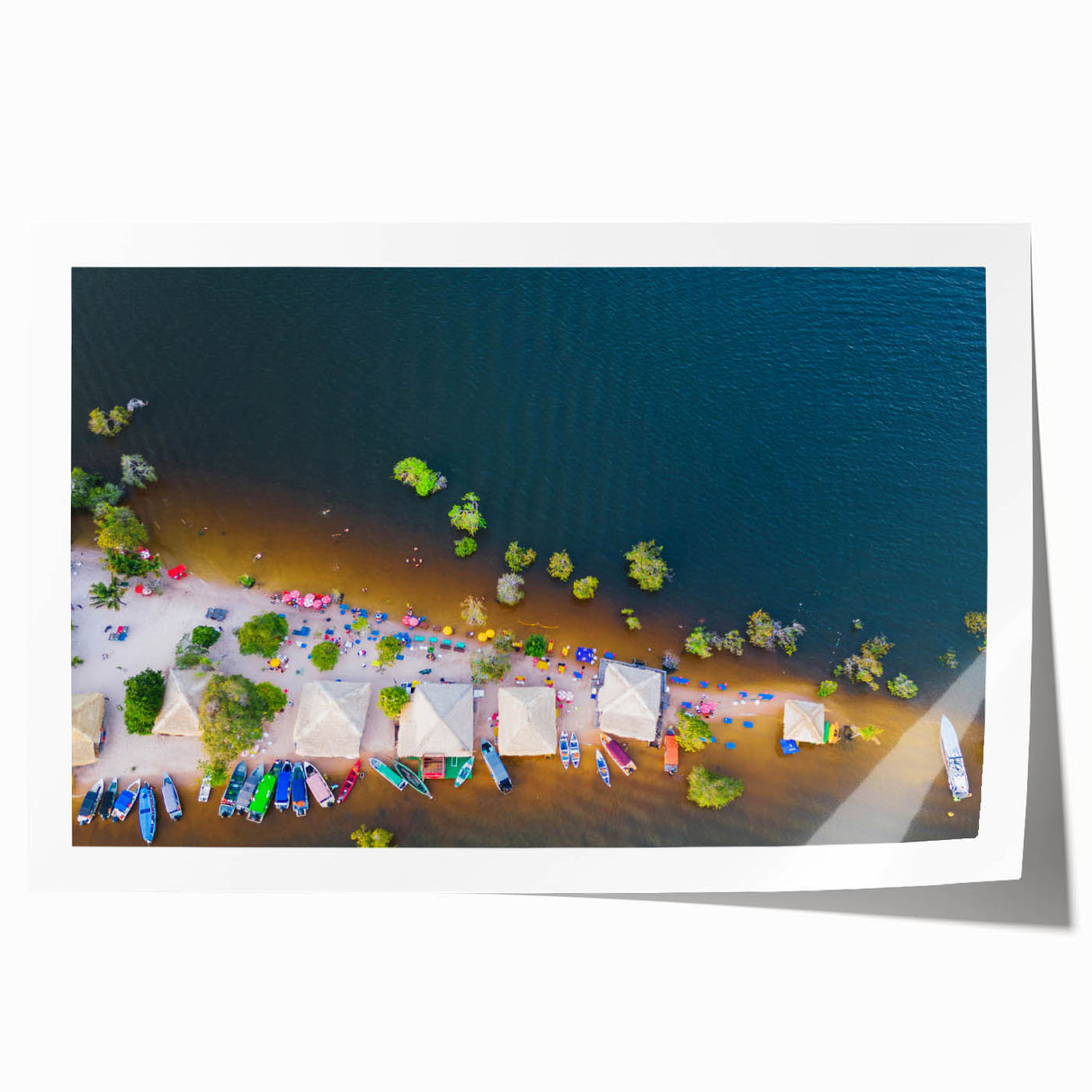Extra large rolled print of a Brazilian landscape featuring vibrant floral elements, ideal for art wall dining room.