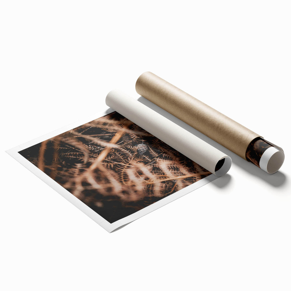 Extra large rolled print featuring a fall-themed floral design in warm orange and red tones.