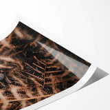 Extra large wall art featuring line art flowers in autumnal colors on rolled canvas, suitable for large living room decor.