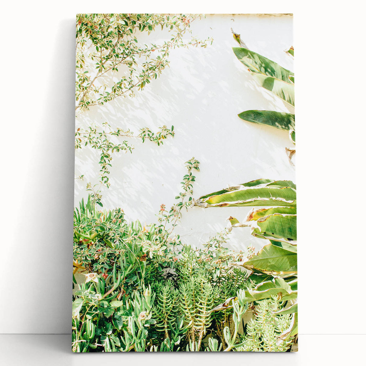 Black and white large canvas print of a spring-themed abstract design, ideal for kitchen wall art or bedroom ambiance.