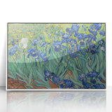 Mid-century modernist art of Van Gogh's style in a white acrylic frame, featuring vibrant color palette.