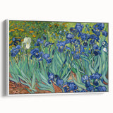 Framed vintage poster art of Van Gogh's painting on canvas, featuring vibrant colors, ideal for living room decor.