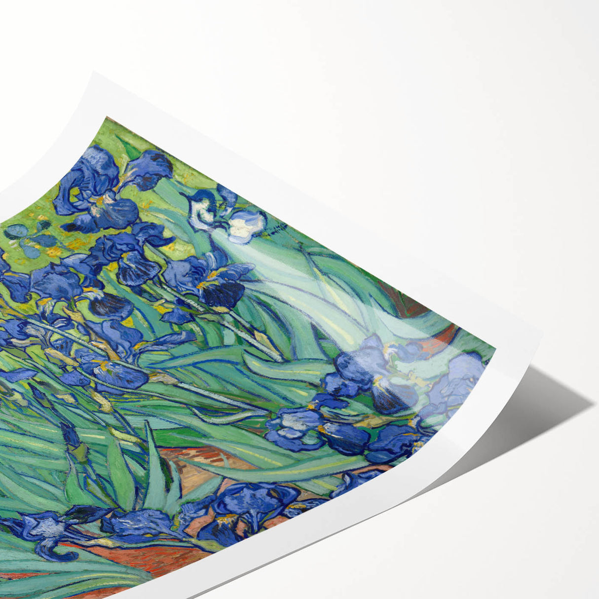 Extra large rolled canvas print featuring line art flowers in muted earth tones, suitable for large living room wall art.
