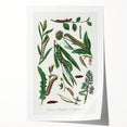 Romanticism Art: "Caterpillars and Chrysalis" Botanical Canvas Print