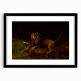 Romanticism Art: "A Lion Attacking a Stag" Wildlife Canvas Print