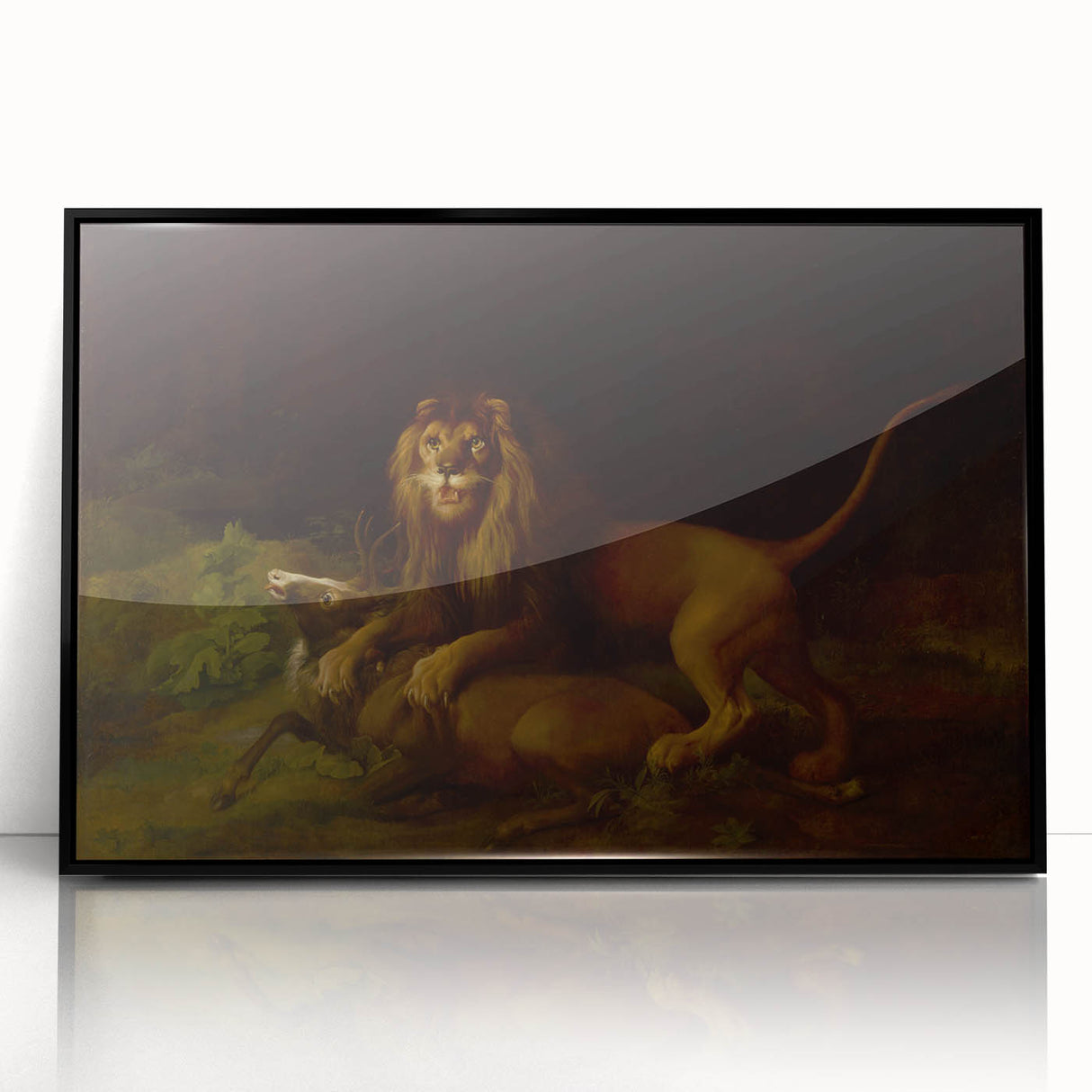 Romanticism Art: "A Lion Attacking a Stag" Wildlife Canvas Print