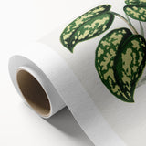 Romanticism Botanical Art: Pothos Argyraea Leaf Print on Canvas