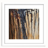 Textured Abstract Forest Wall Art – Modern Canvas & Framed Print